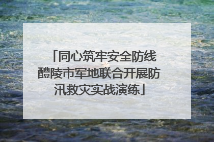 同心筑牢安全防线 醴陵市军地联合开展防汛救灾实战演练
