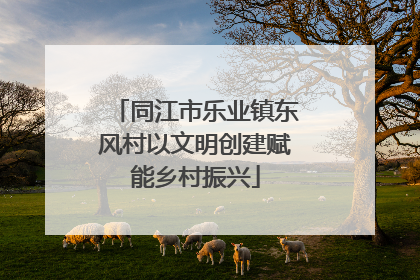 同江市乐业镇东风村以文明创建赋能乡村振兴