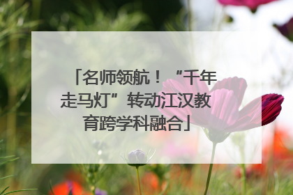 名师领航！“千年走马灯”转动江汉教育跨学科融合