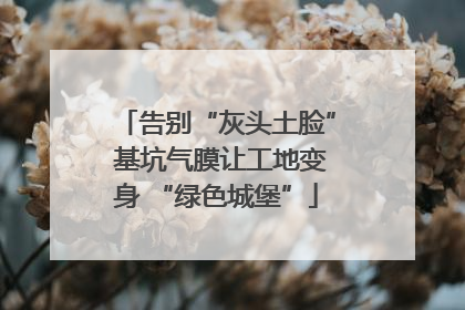 告别“灰头土脸” 基坑气膜让工地变身 “绿色城堡”
