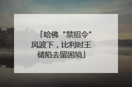 哈佛“禁招令”风波下，比利时王储陷去留困境