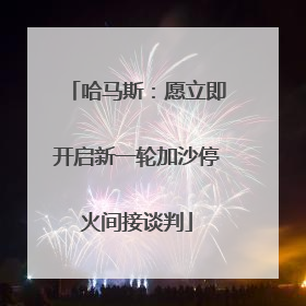 哈马斯：愿立即开启新一轮加沙停火间接谈判