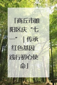 商丘市睢阳区庆“七一”｜传承红色基因 践行初心使命