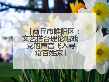 商丘市睢阳区：文艺搭台理论唱戏 党的声音飞入寻常百姓家