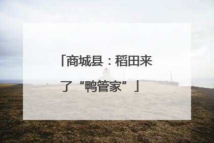 商城县：稻田来了“鸭管家”