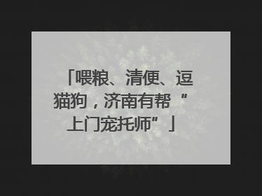 喂粮、清便、逗猫狗，济南有帮“上门宠托师”