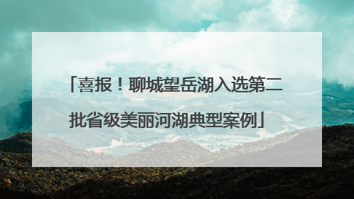 喜报！聊城望岳湖入选第二批省级美丽河湖典型案例