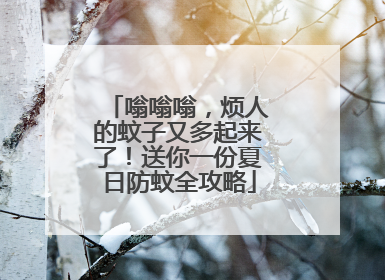 嗡嗡嗡，烦人的蚊子又多起来了！送你一份夏日防蚊全攻略