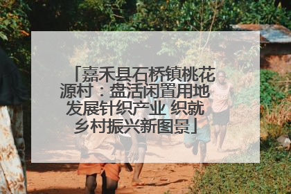 嘉禾县石桥镇桃花源村：盘活闲置用地发展针织产业 织就乡村振兴新图景