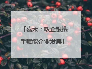 嘉禾：政企银携手赋能企业发展