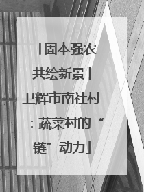固本强农 共绘新景 ︳卫辉市南社村：蔬菜村的“链”动力