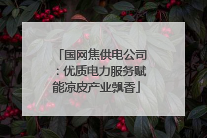 国网焦供电公司：优质电力服务赋能凉皮产业飘香