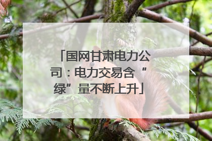 国网甘肃电力公司：电力交易含“绿”量不断上升