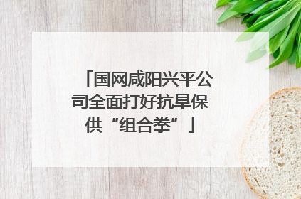 国网咸阳兴平公司全面打好抗旱保供“组合拳”