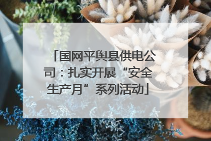 国网平舆县供电公司：扎实开展“安全生产月”系列活动