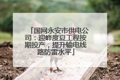 国网永安市供电公司：迎峰度夏工程按期投产，提升输电线路防雷水平