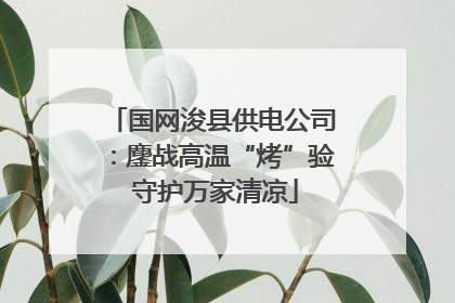 国网浚县供电公司：鏖战高温“烤”验 守护万家清凉