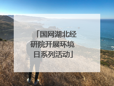 国网湖北经研院开展环境日系列活动