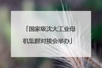 国家级沈大工业母机集群对接会举办