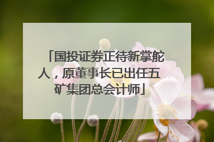 国投证券正待新掌舵人，原董事长已出任五矿集团总会计师