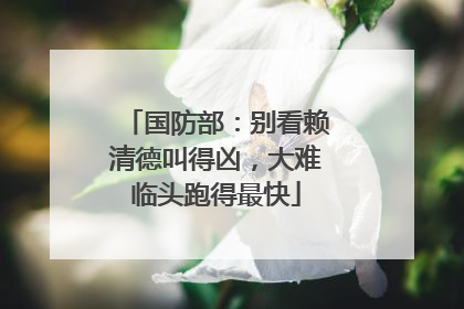 国防部：别看赖清德叫得凶，大难临头跑得最快