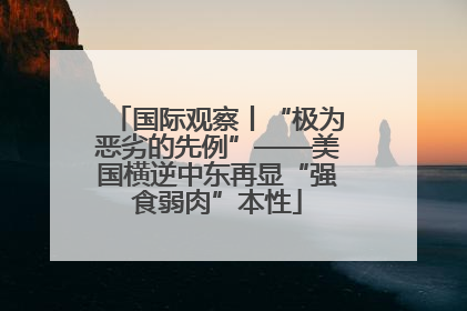 国际观察丨“极为恶劣的先例”——美国横逆中东再显“强食弱肉”本性