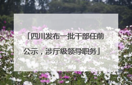 四川发布一批干部任前公示，涉厅级领导职务