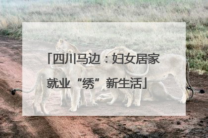 四川马边：妇女居家就业“绣”新生活