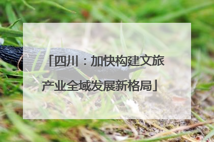四川：加快构建文旅产业全域发展新格局