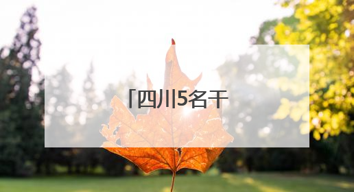 四川5名干部任新职！