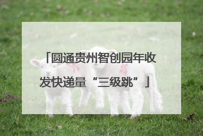 圆通贵州智创园年收发快递量“三级跳”