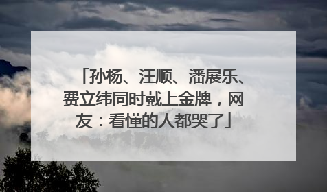 孙杨、汪顺、潘展乐、费立纬同时戴上金牌，网友：看懂的人都哭了