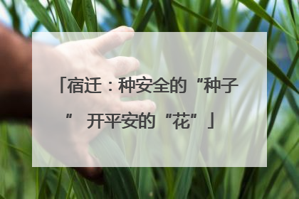 宿迁：种安全的“种子” 开平安的“花”
