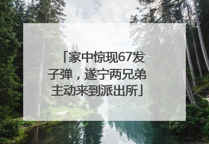 家中惊现67发子弹，遂宁两兄弟主动来到派出所