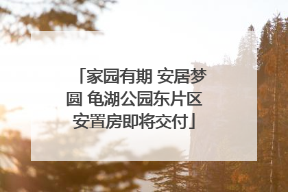 家园有期 安居梦圆 龟湖公园东片区安置房即将交付