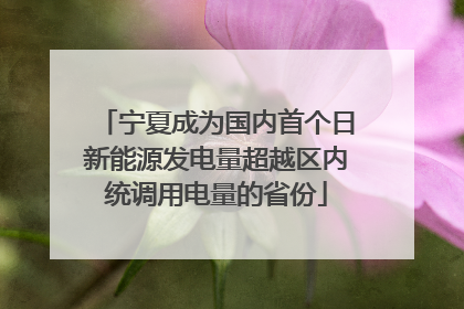 宁夏成为国内首个日新能源发电量超越区内统调用电量的省份