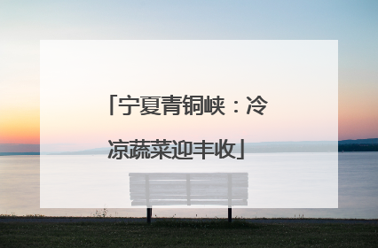 宁夏青铜峡：冷凉蔬菜迎丰收