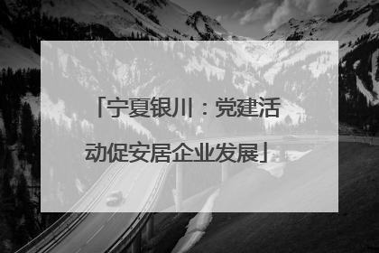 宁夏银川：党建活动促安居企业发展