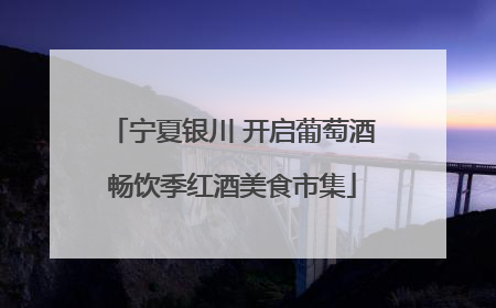 宁夏银川 开启葡萄酒畅饮季红酒美食市集
