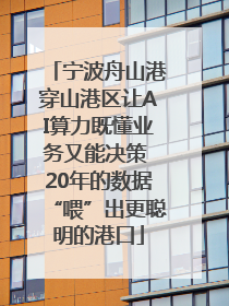 宁波舟山港穿山港区让AI算力既懂业务又能决策 20年的数据“喂”出更聪明的港口