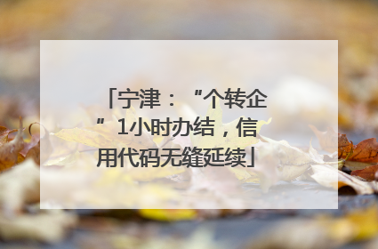 宁津：“个转企”1小时办结，信用代码无缝延续