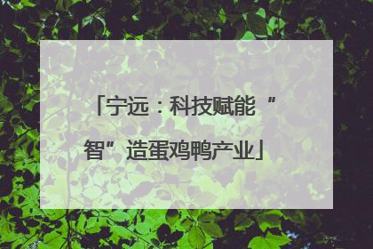 宁远：科技赋能“智”造蛋鸡鸭产业