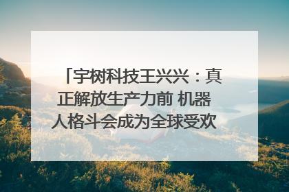 宇树科技王兴兴：真正解放生产力前 机器人格斗会成为全球受欢迎的赛事｜科技观察