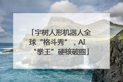 宇树人形机器人全球“格斗秀”，AI“拳王”硬核破圈