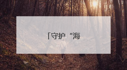 守护“海底雨林”