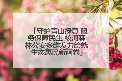 守护青山绿意 服务保障民生 蛟河森林公安多维发力绘就生态惠民新画卷