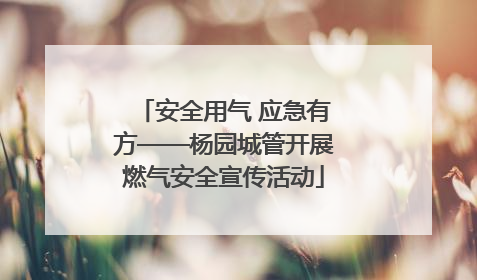 安全用气 应急有方——杨园城管开展燃气安全宣传活动