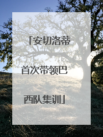安切洛蒂首次带领巴西队集训