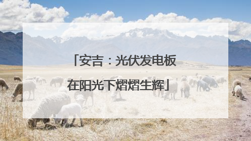 安吉：光伏发电板在阳光下熠熠生辉