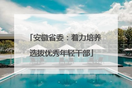 安徽省委：着力培养选拔优秀年轻干部